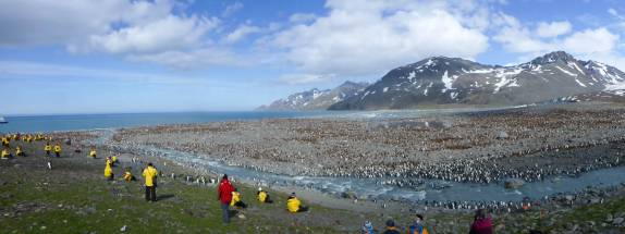 Passageiros do Sea Spirit observam St Andrews Bay, na Geórgia do Sul, a maior colônia de pinguins rei do mundo